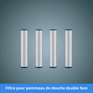 filtre pour pommeau de douche