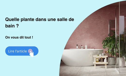 quelle plante dans une salle de bain