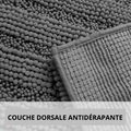 couche dorsale